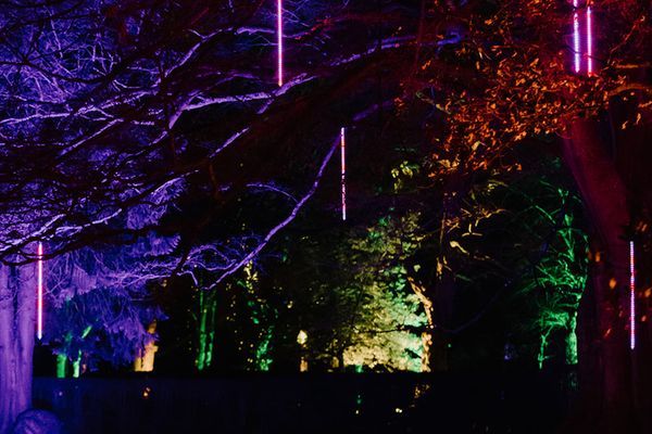 Enchanted Gardens Light Trail