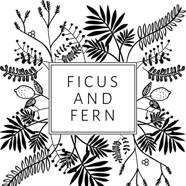 Ficus and Fern