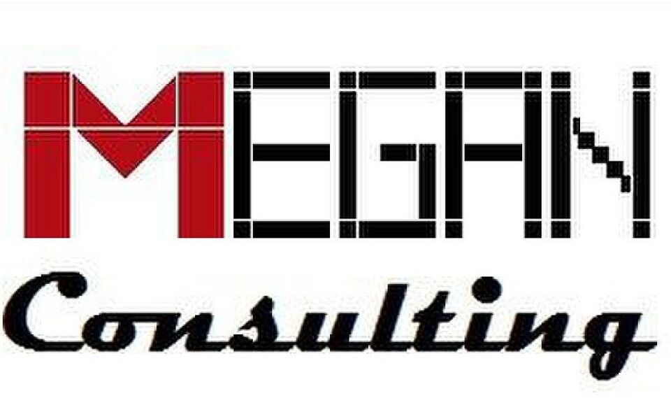 MEGAN CONSULTING