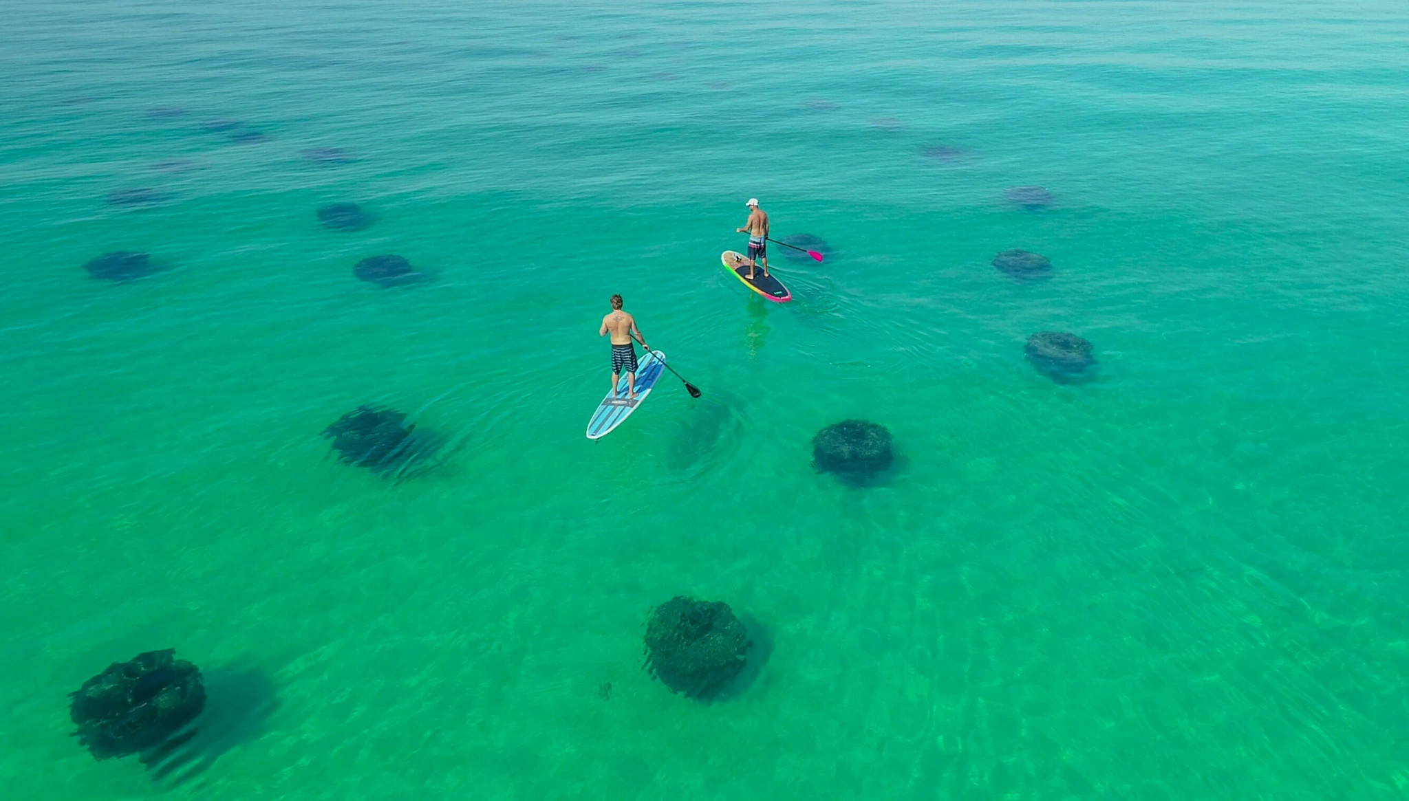 Henderson Beach Snorkel Reef