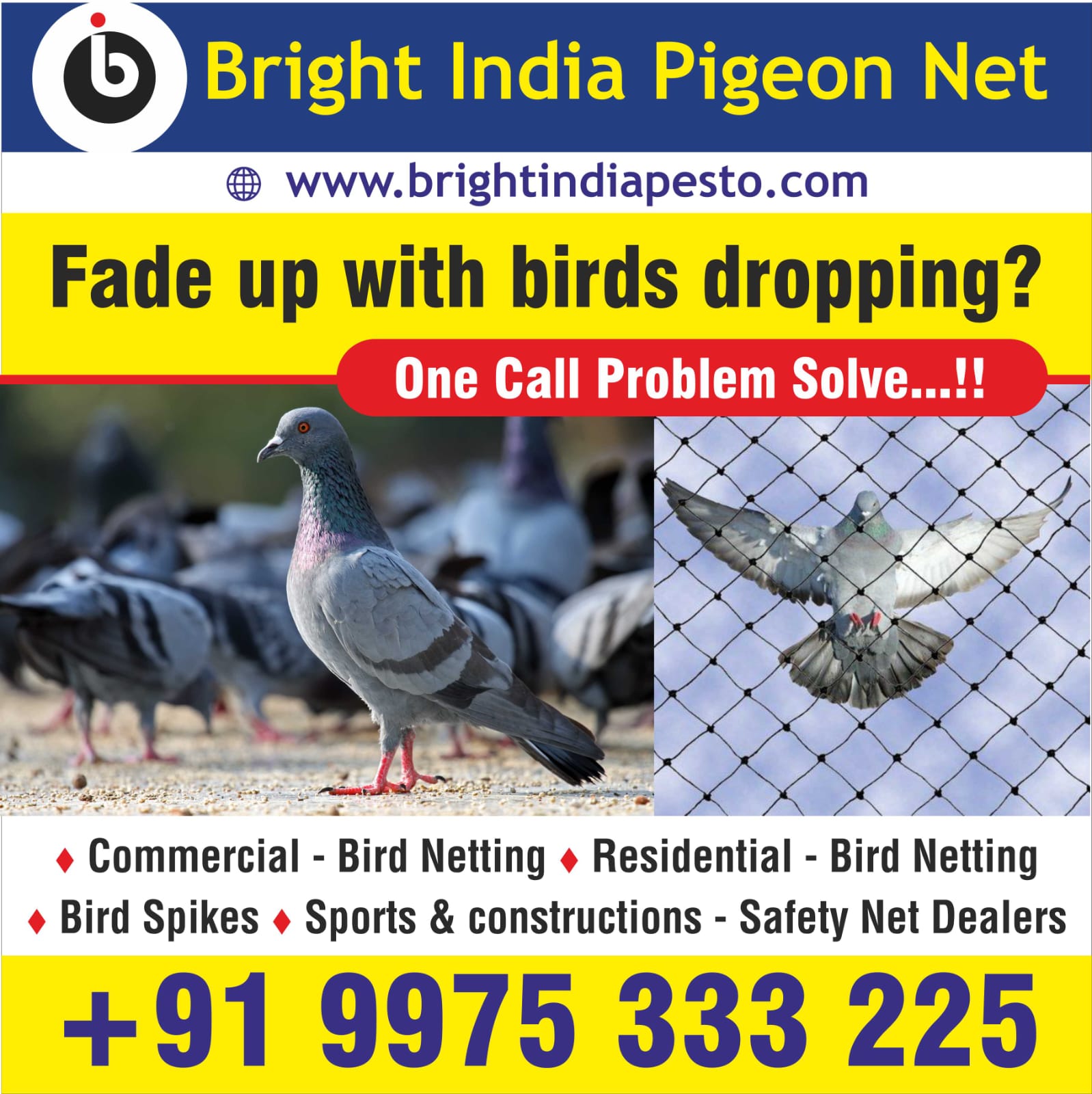 BRIGHT INDIA PIGEON NET Logo