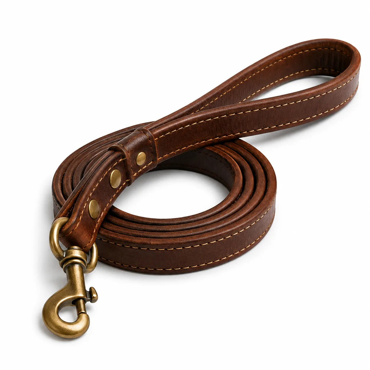 Dog Leashes