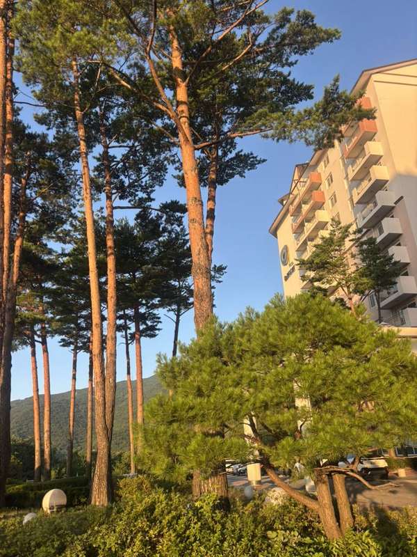 오투리조트 타워콘도