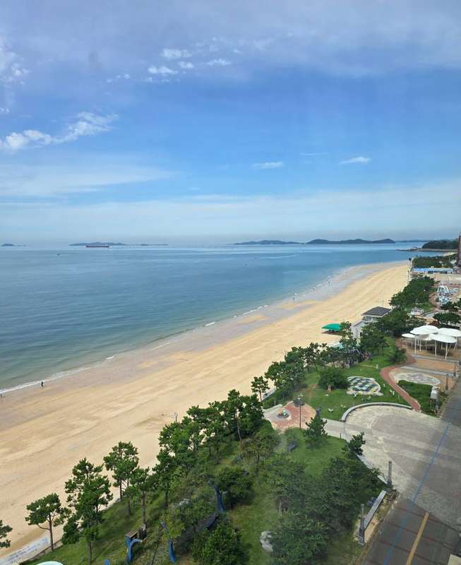 대천파레브