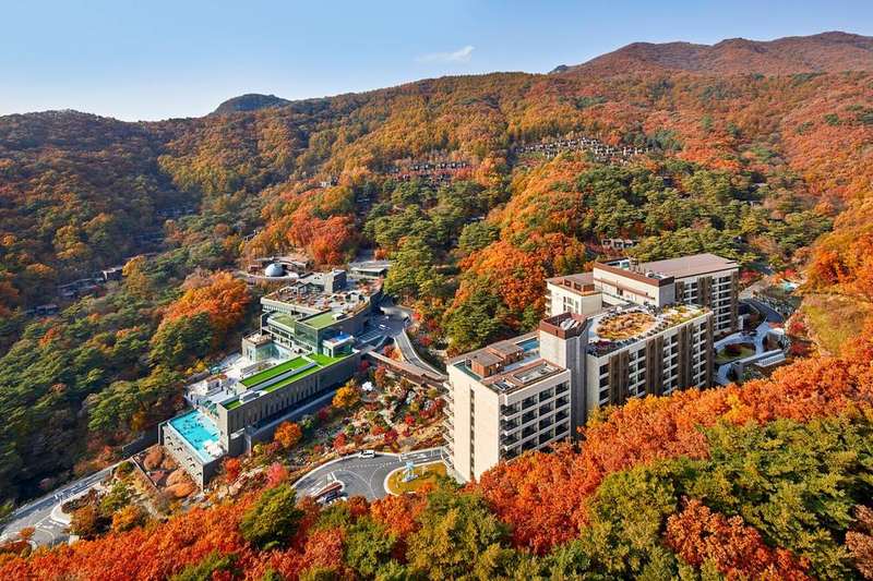 포레스트 리솜