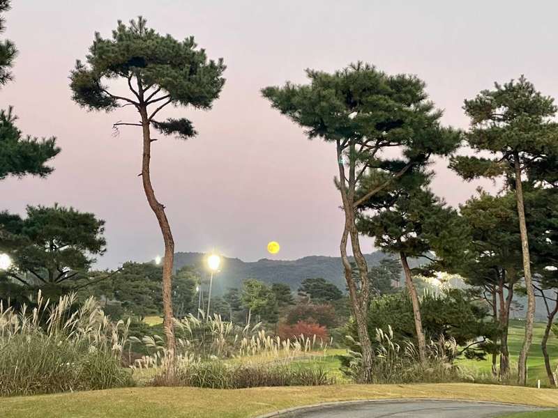 대연호텔