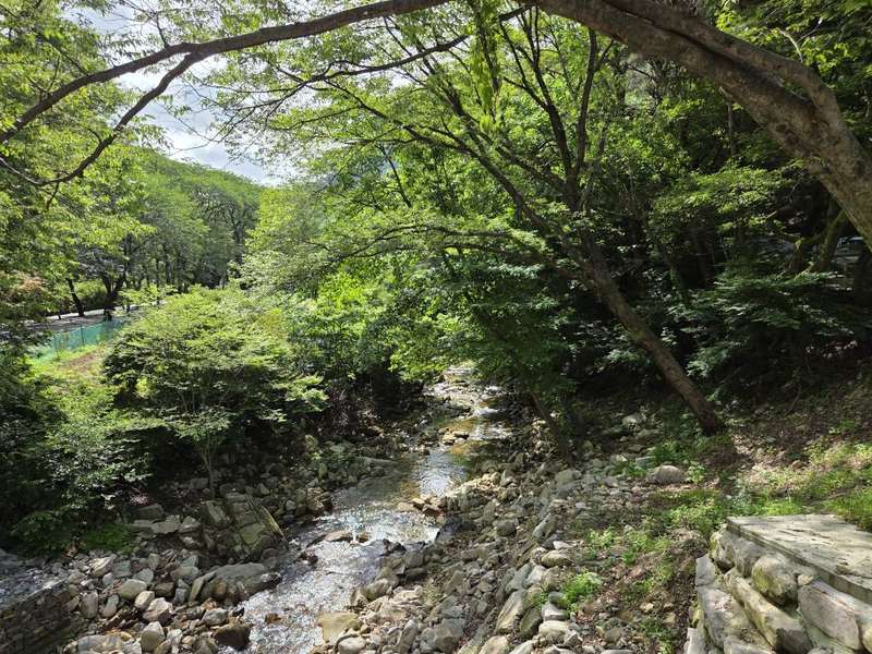 동학산장