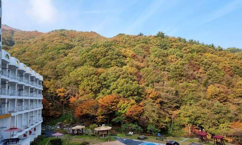 준성리조트
