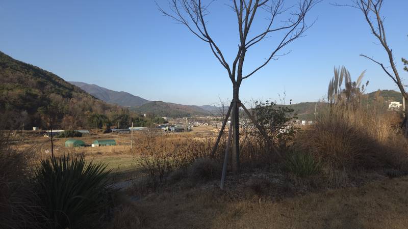 시하온