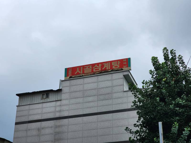시골통닭