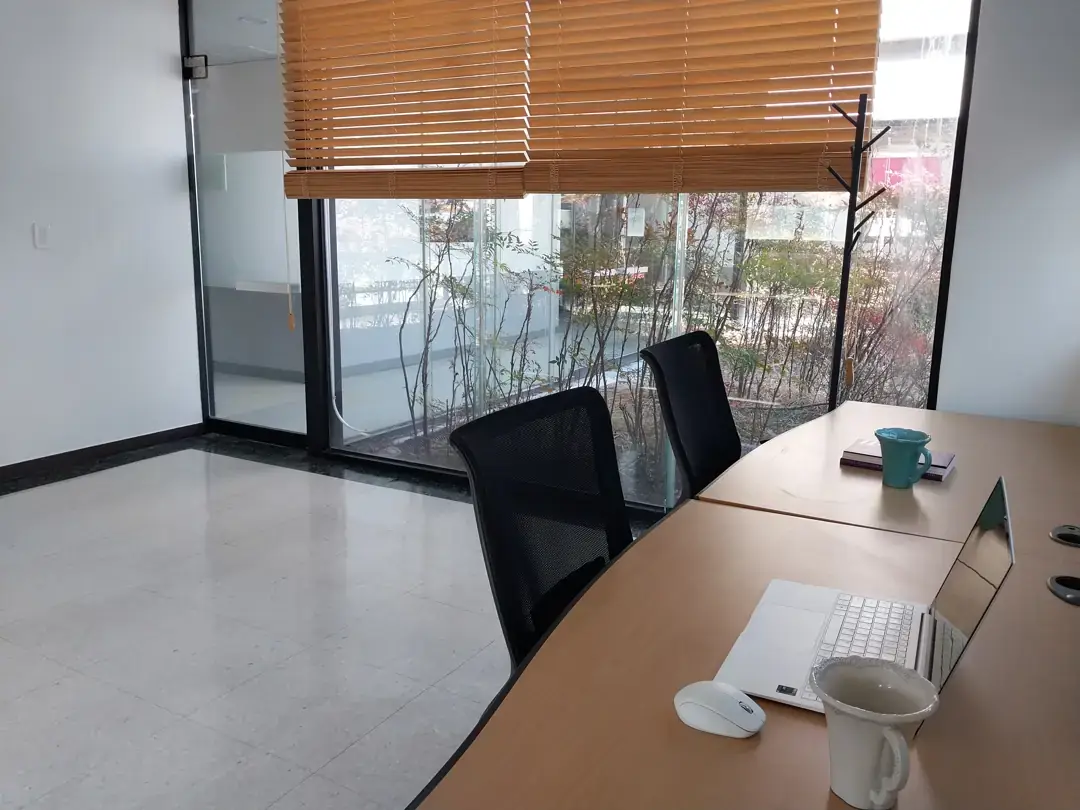 신한 사진 2