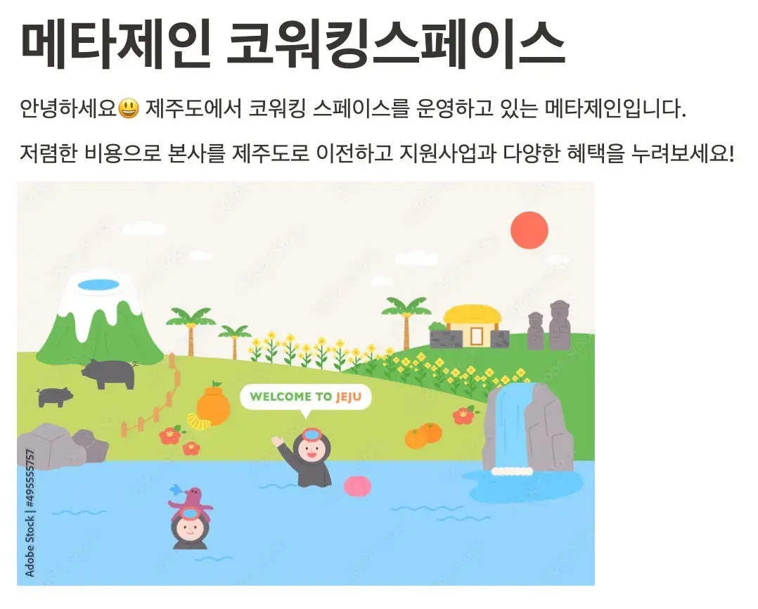 메타제인 사진 2