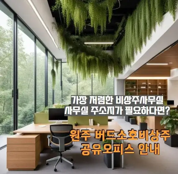 버드소호사무실