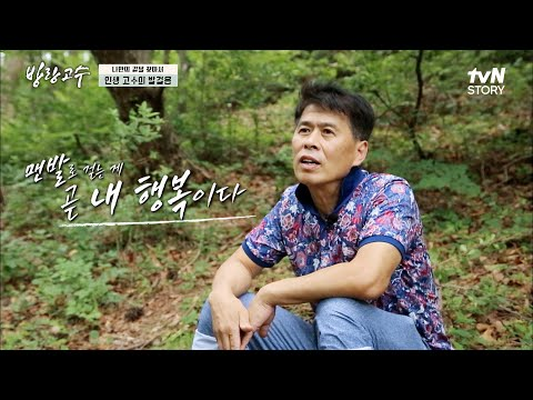 맨발 걷기와 암 치유 주장