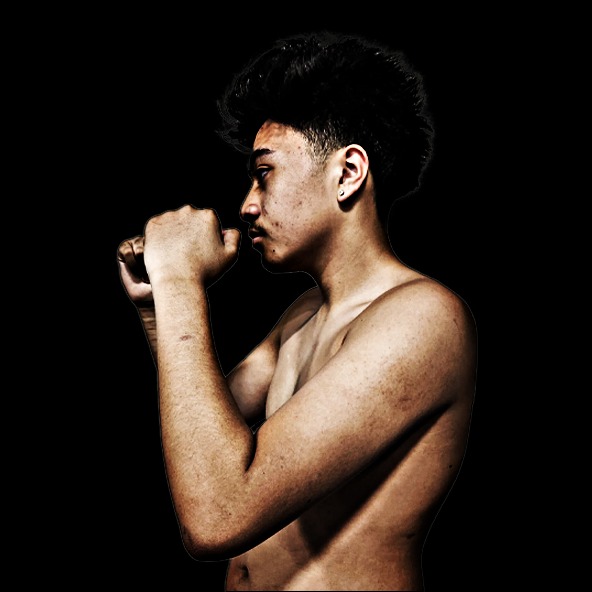 HARRY FUJII