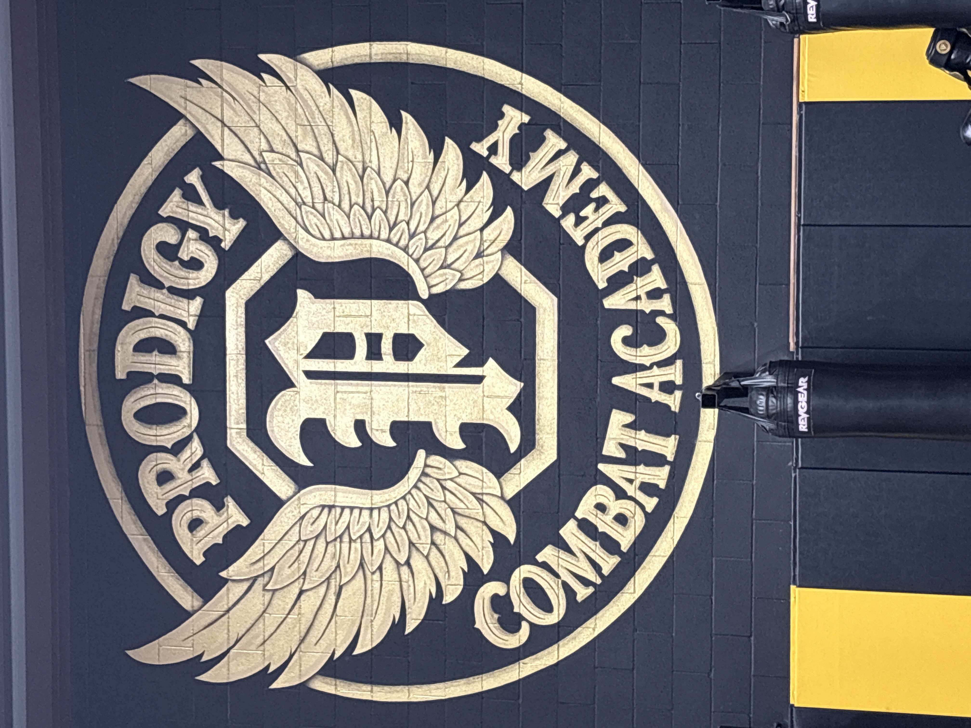 PRODIGY COMBAT ACADEMY logo