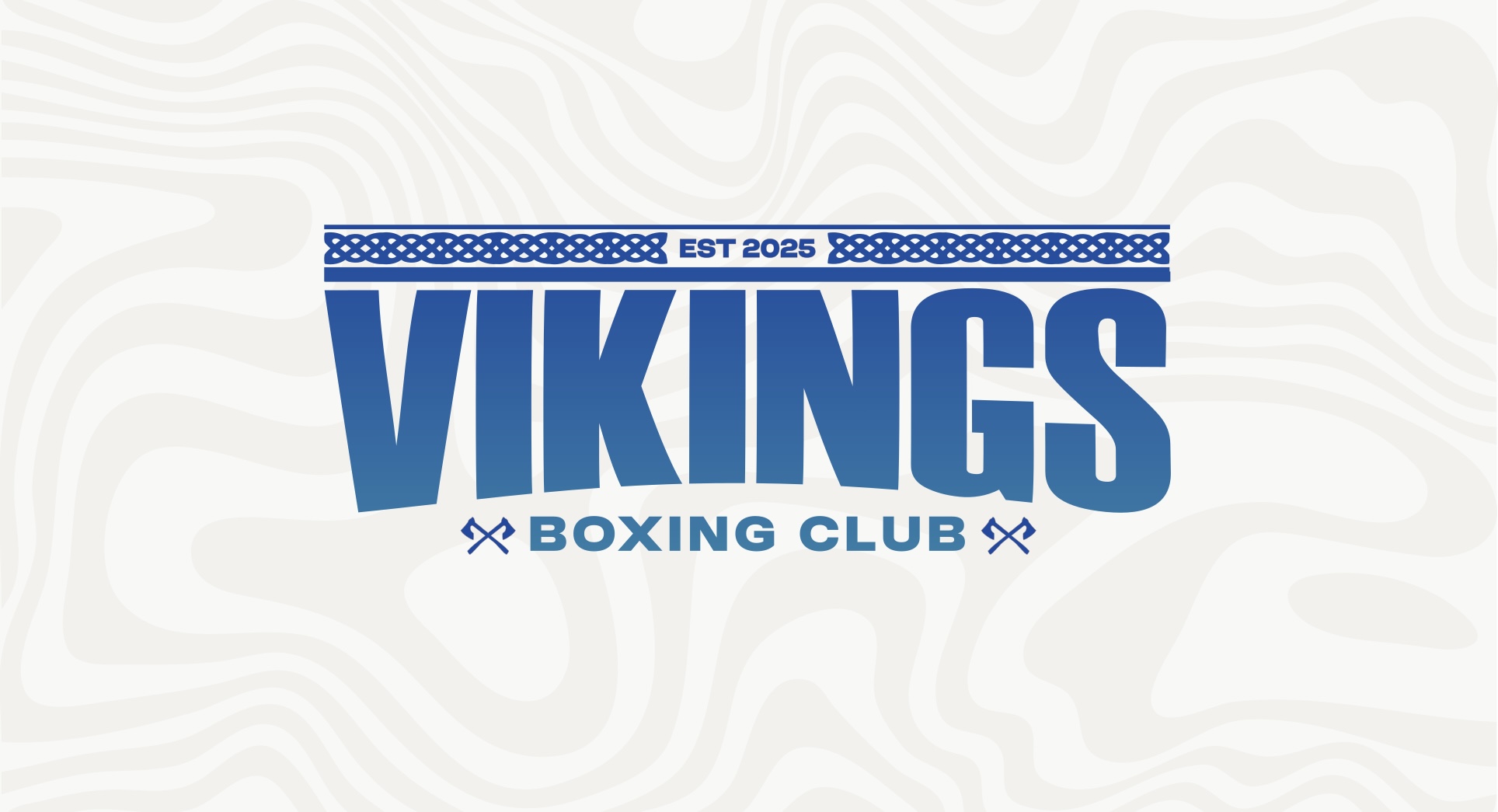VIKINGS BOXING CLUB logo