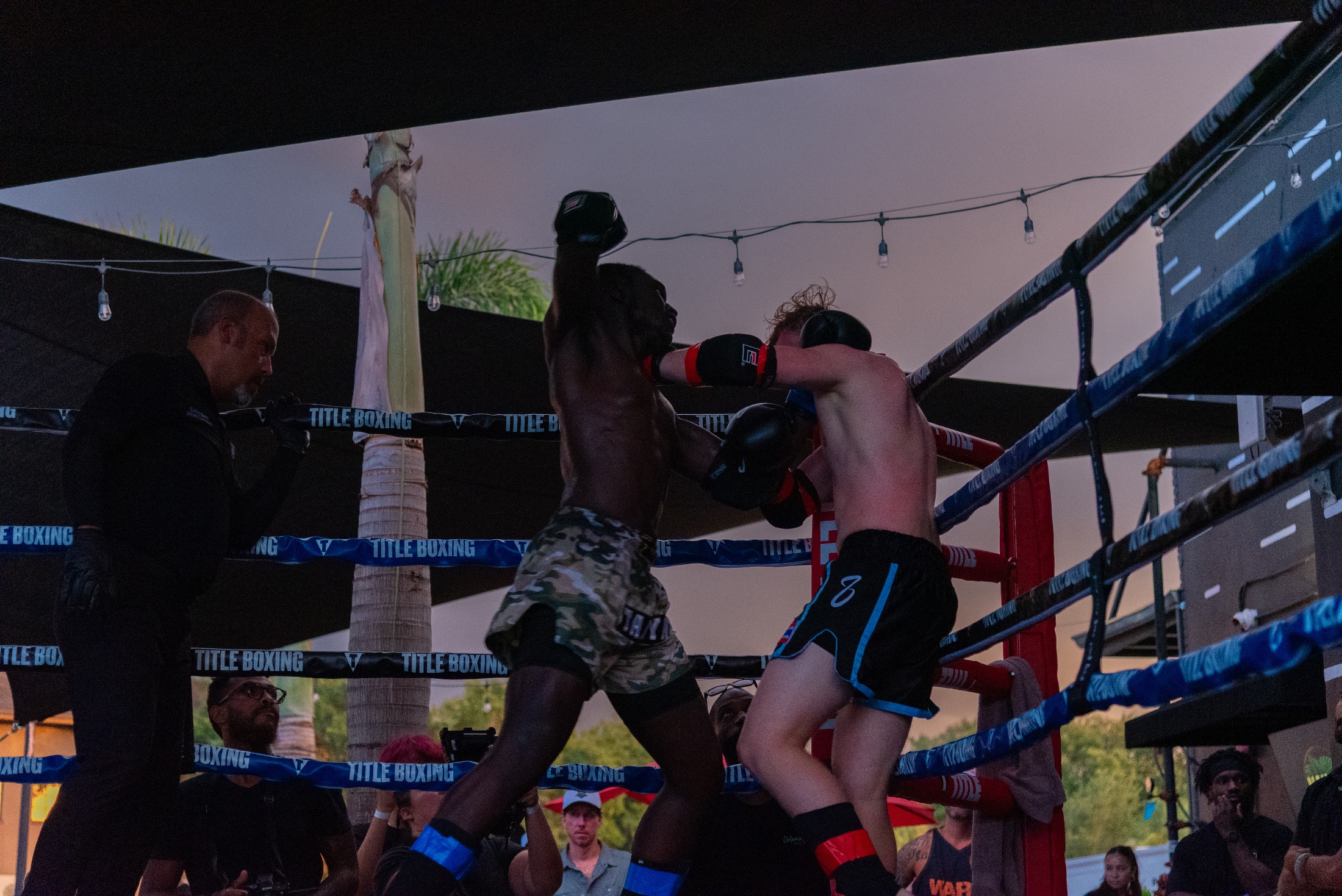 WAR IN THE JUNGLE 1 photo 217