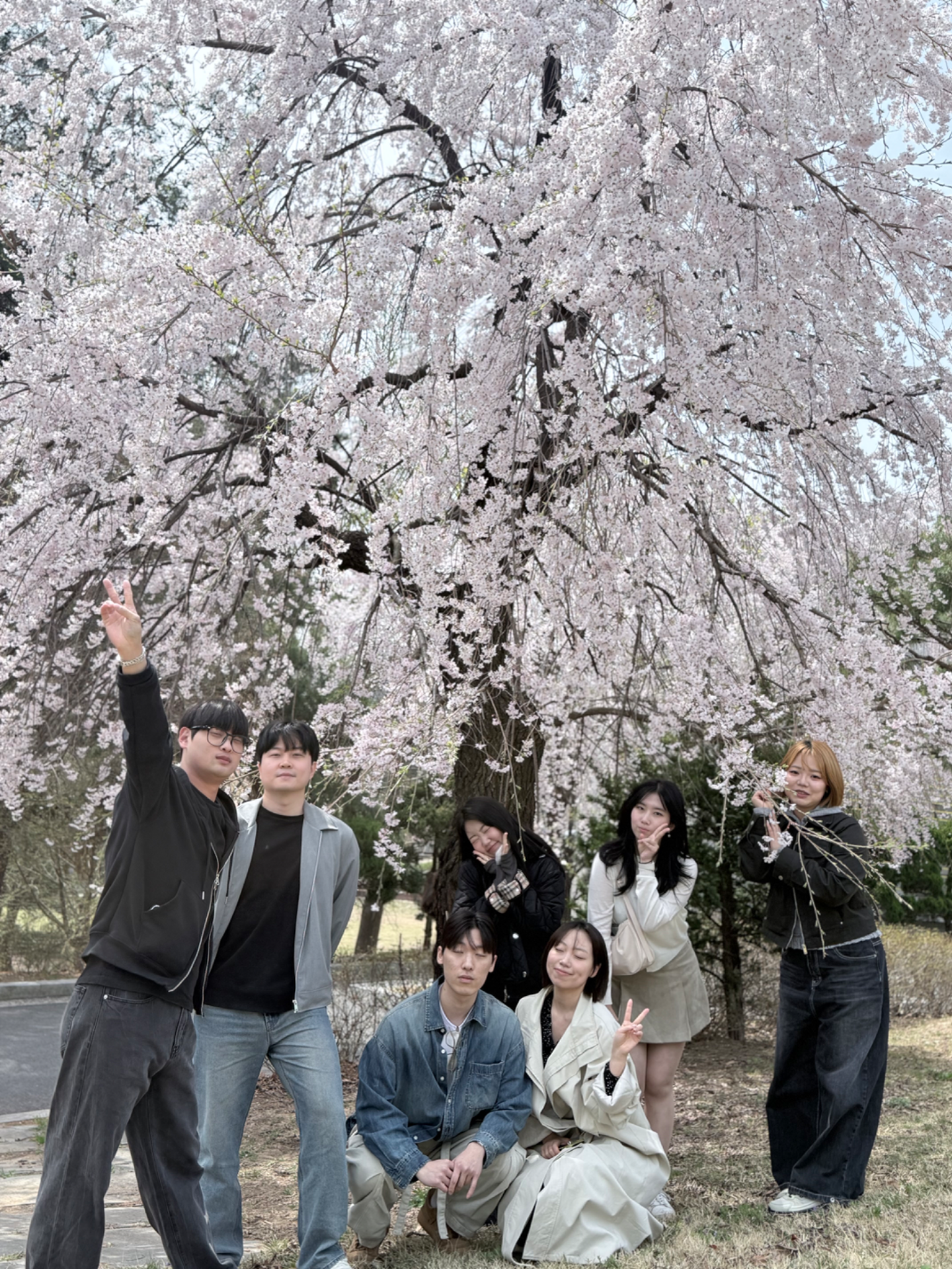 청년부도 꽃구경 했어용