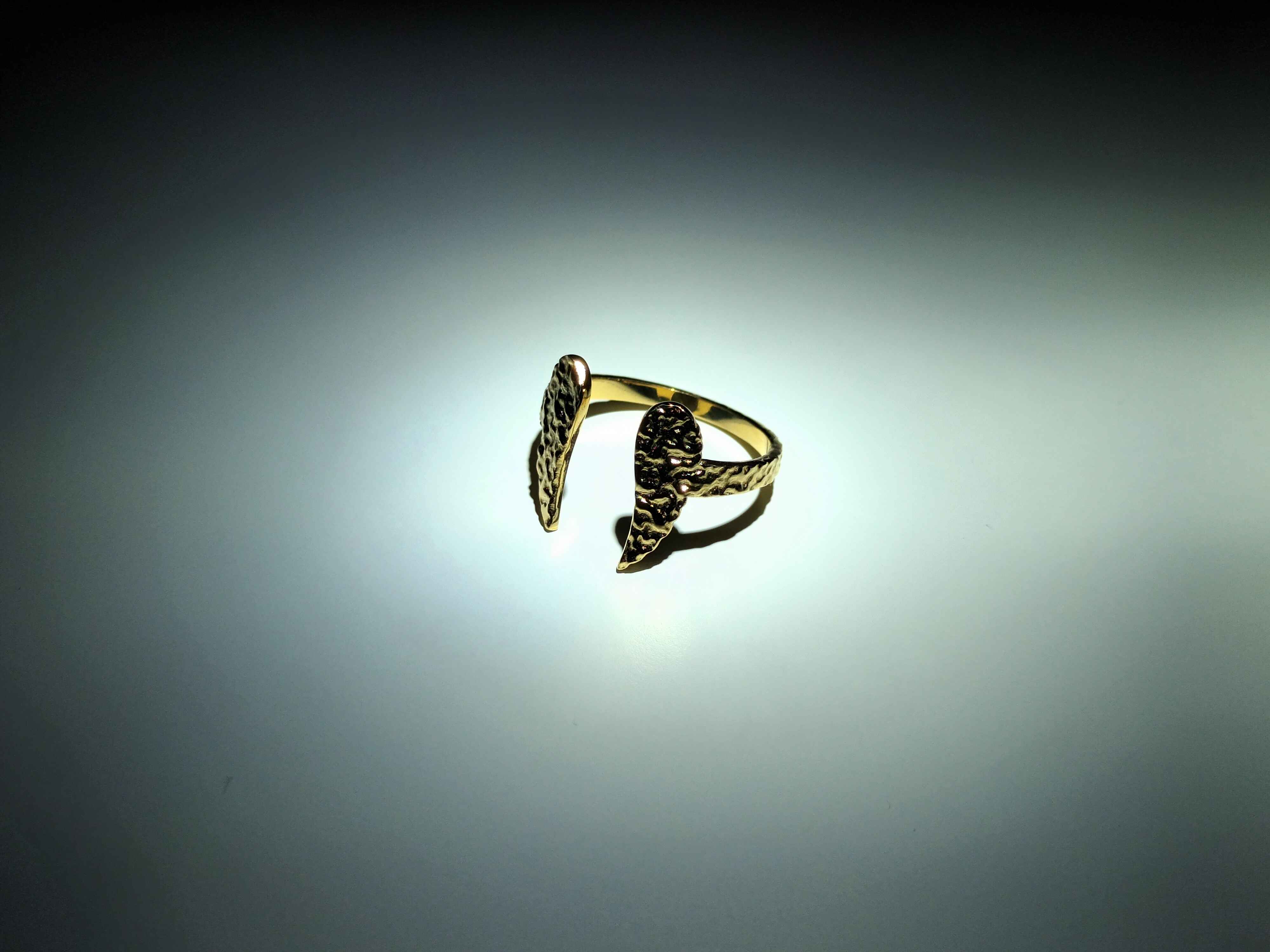 Anillo Alas