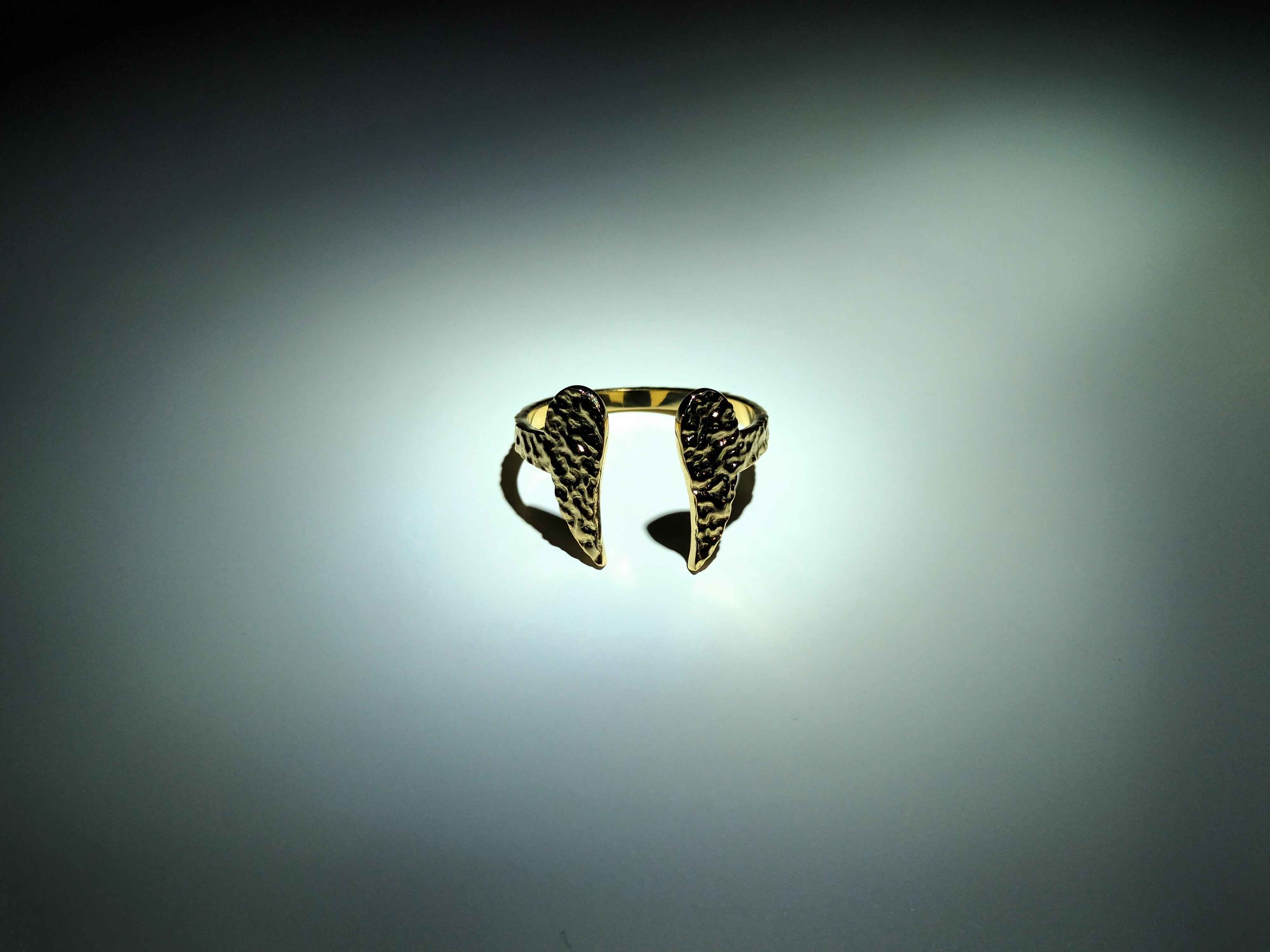 Anillo Alas