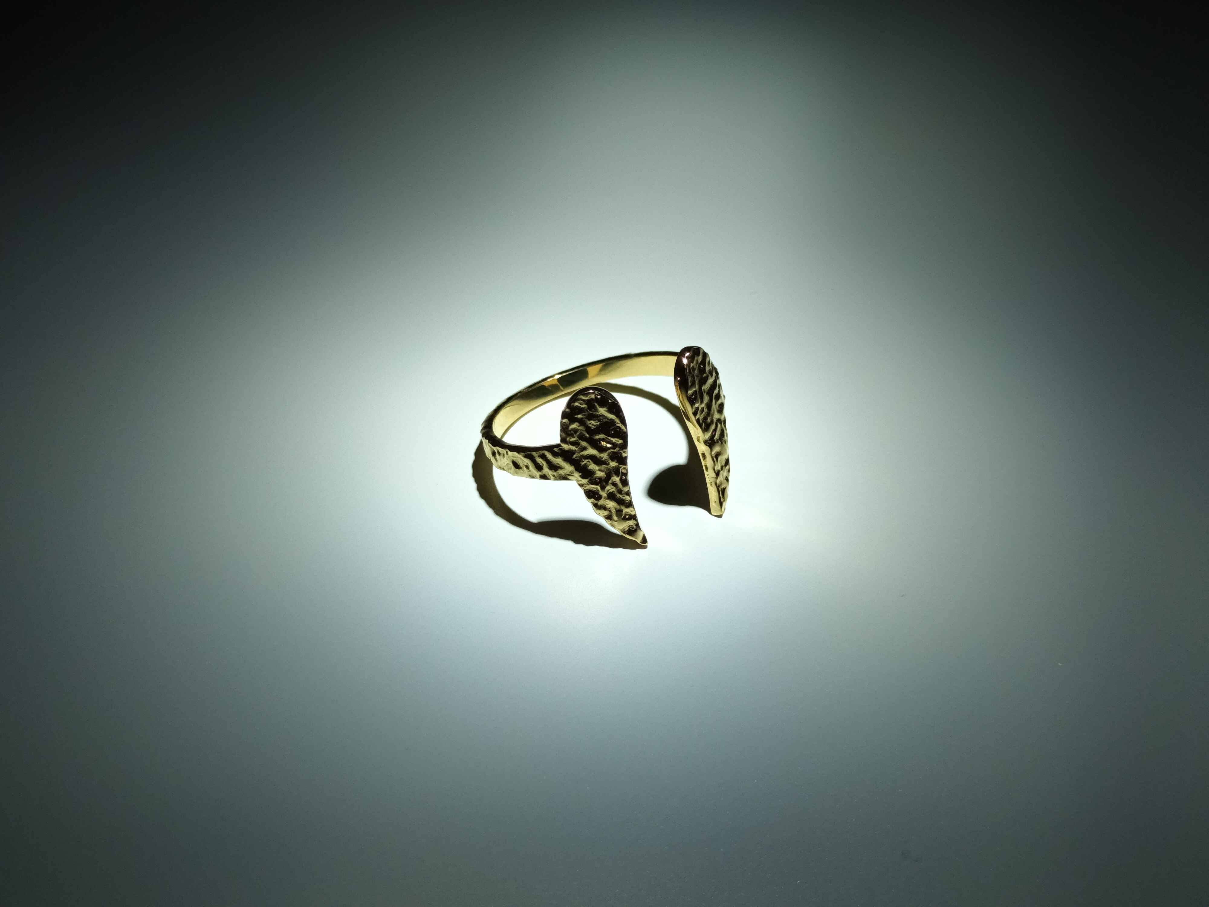 Anillo Alas