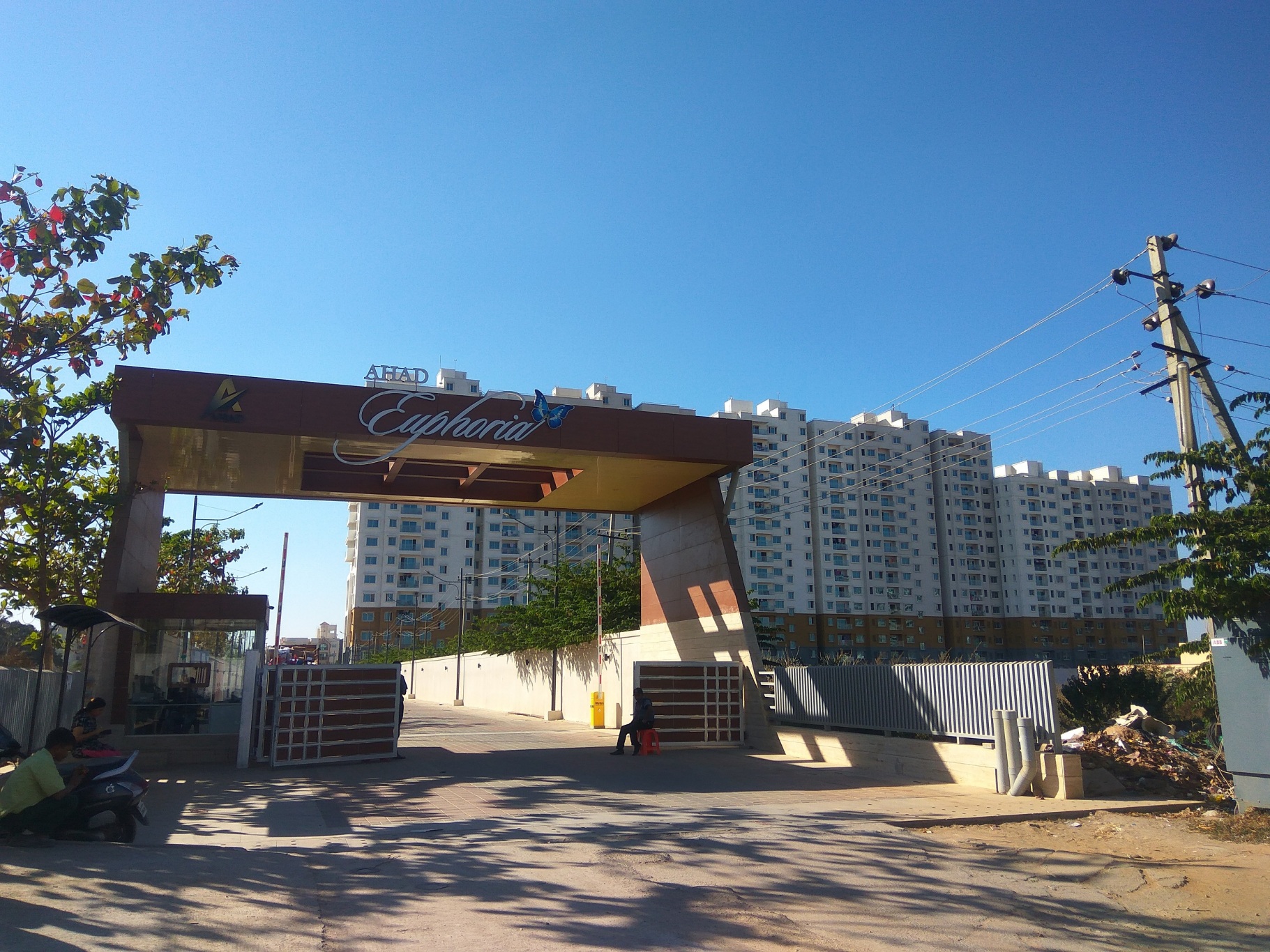 Image 4