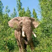 Family play areas and animal enclosures at Noah's Ark Zoo Farm