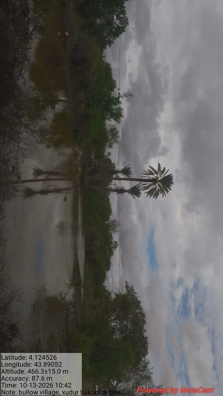 As the Deyr seasonal rains continue across parts of Somalia, concerns over potential El Niño-related flooding are growing, particularly among vulnerable communities in Bakool Region. — media 5
