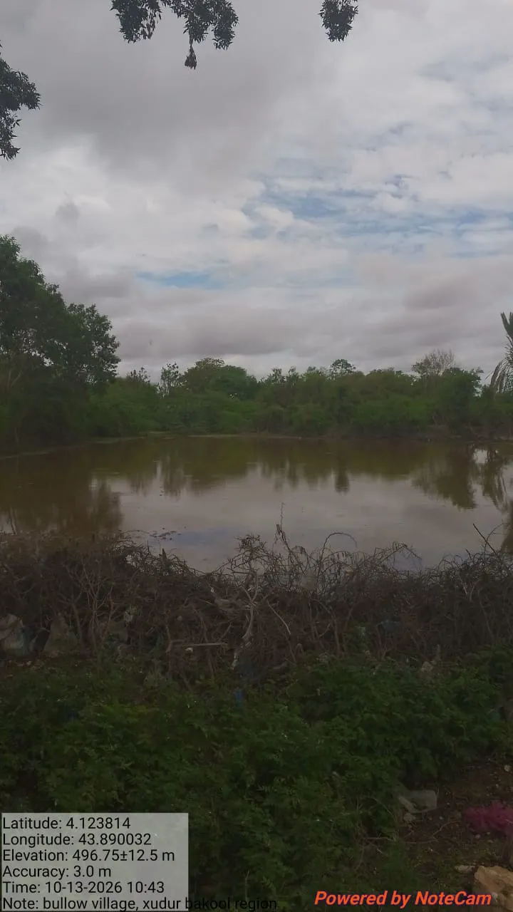 As the Deyr seasonal rains continue across parts of Somalia, concerns over potential El Niño-related flooding are growing, particularly among vulnerable communities in Bakool Region. — media 6