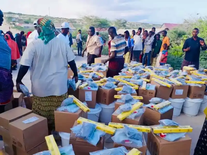 Livelihoods and food security