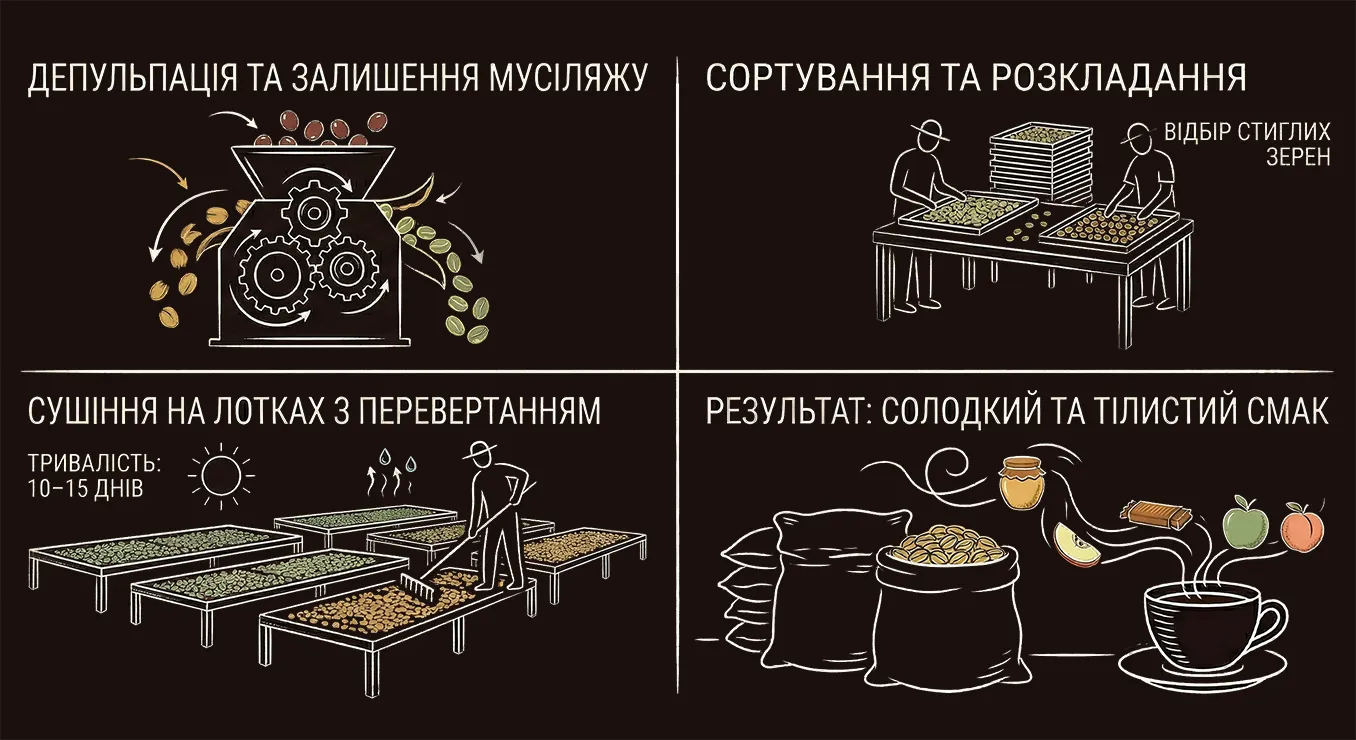 Депульпація та залишення мусляжу, сортвання, сушіння