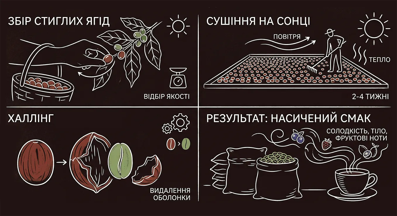 збір стиглих ягід, сушіння на сонці, халлінг, насичений смак