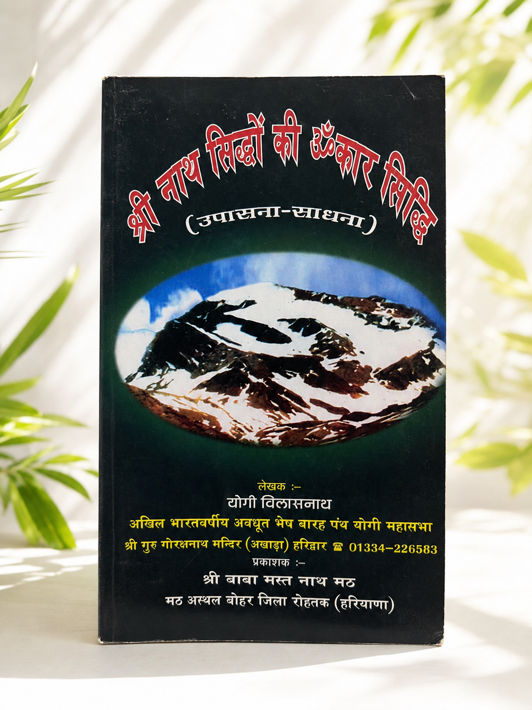 श्री नाथ सिद्धों की ॐकार सिद्धि (उपासना-साधना)