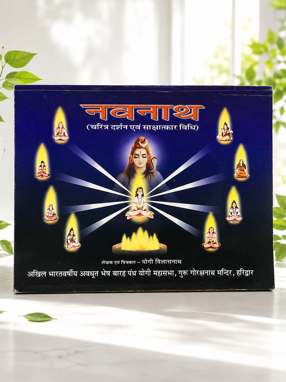 नवनाथ (चरित्र दर्शन एवं साक्षात्कार विधि)