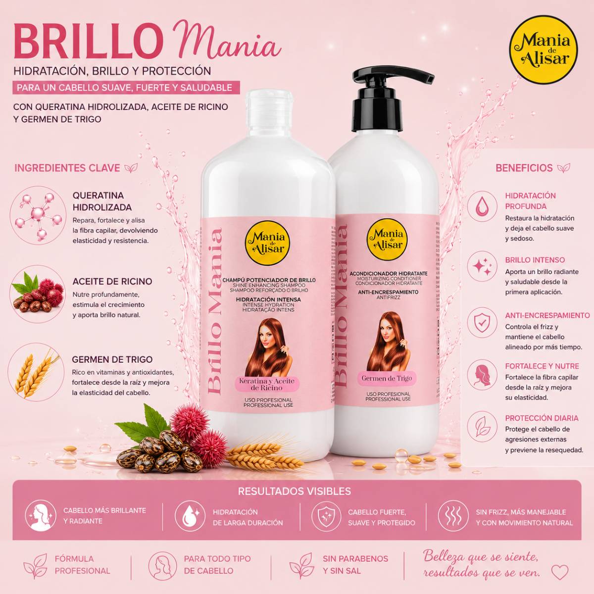 Kit Pos-Alisado Brillo Mania — Detalle 2 Mania de Alisar