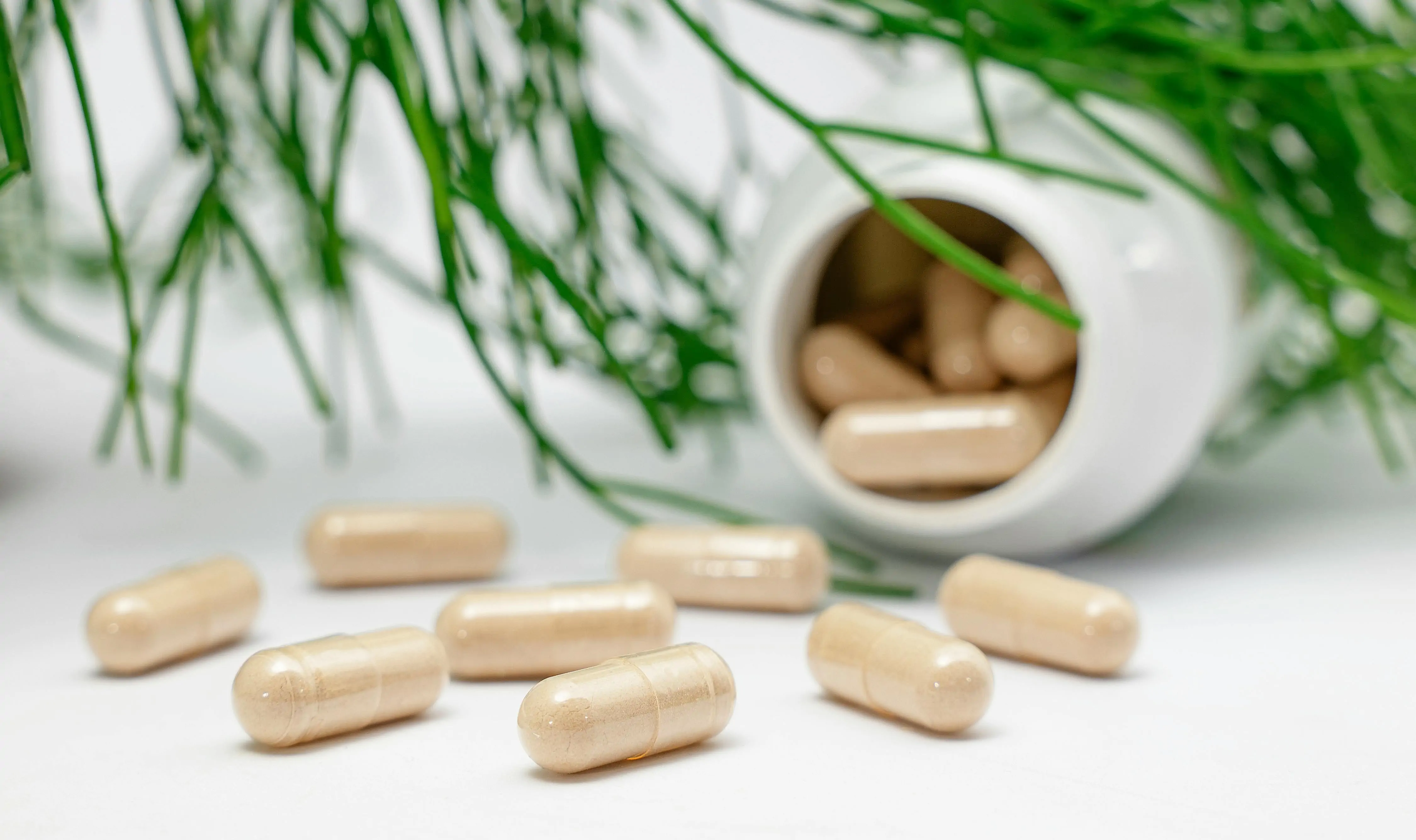 Natuurlijke Voedingssupplementen