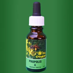 Propolis Druppels A-sterk 20ml