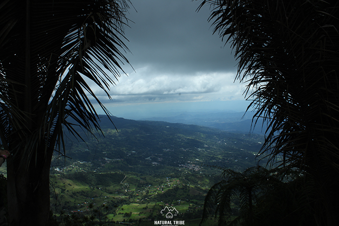 PARQUE CHICAQUE