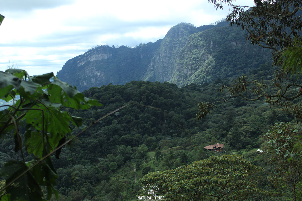 PARQUE CHICAQUE