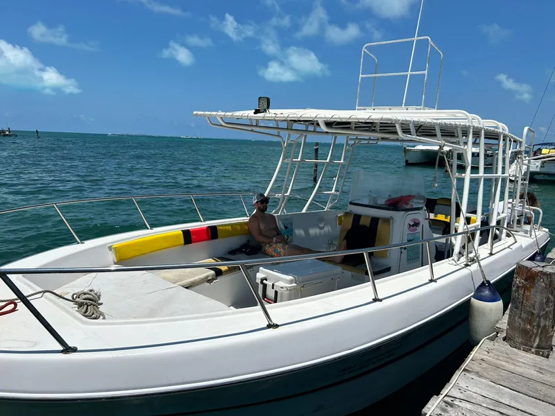 Wellcraft 29 ft