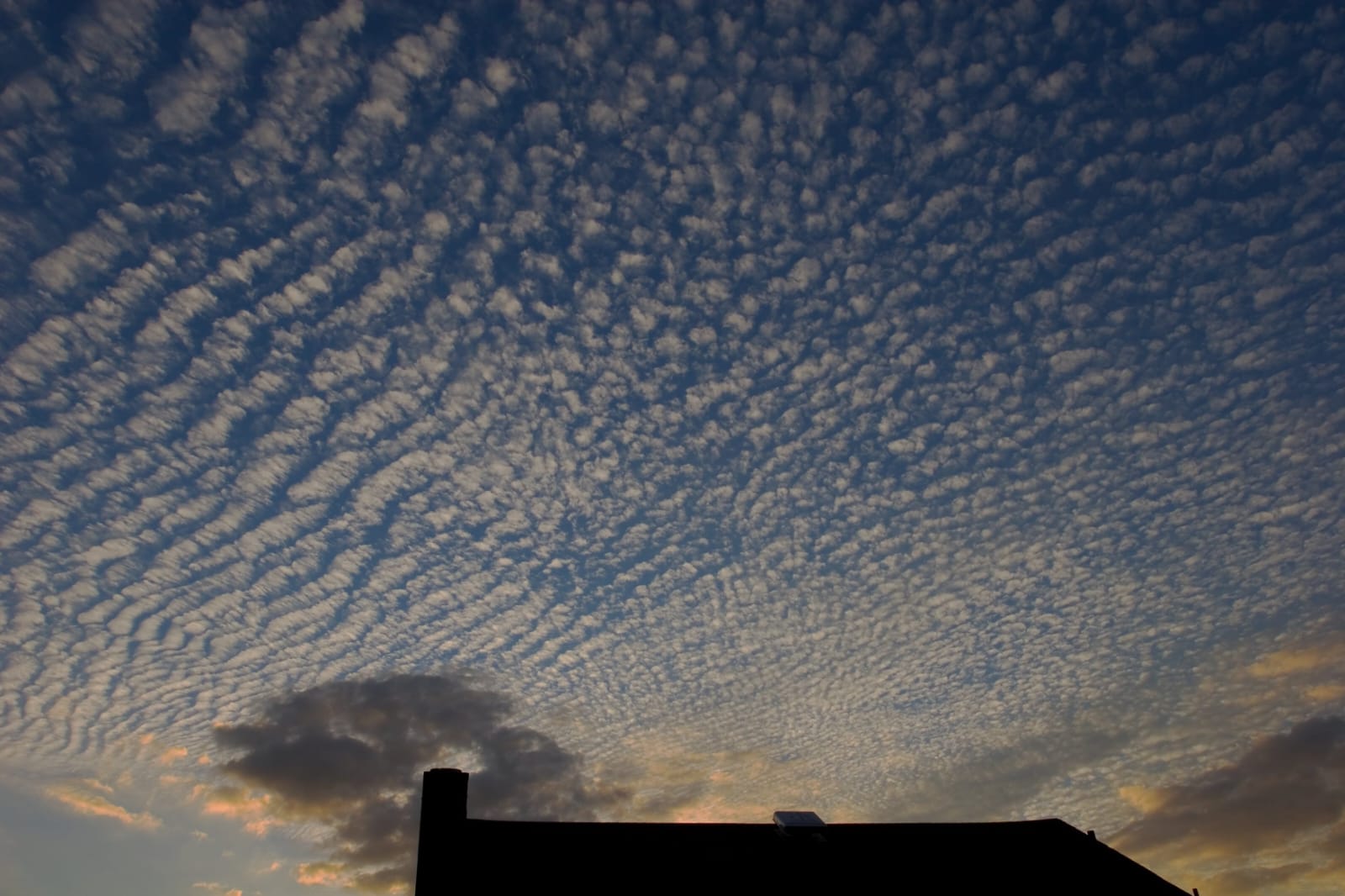 Cirrocumulus (Cc)