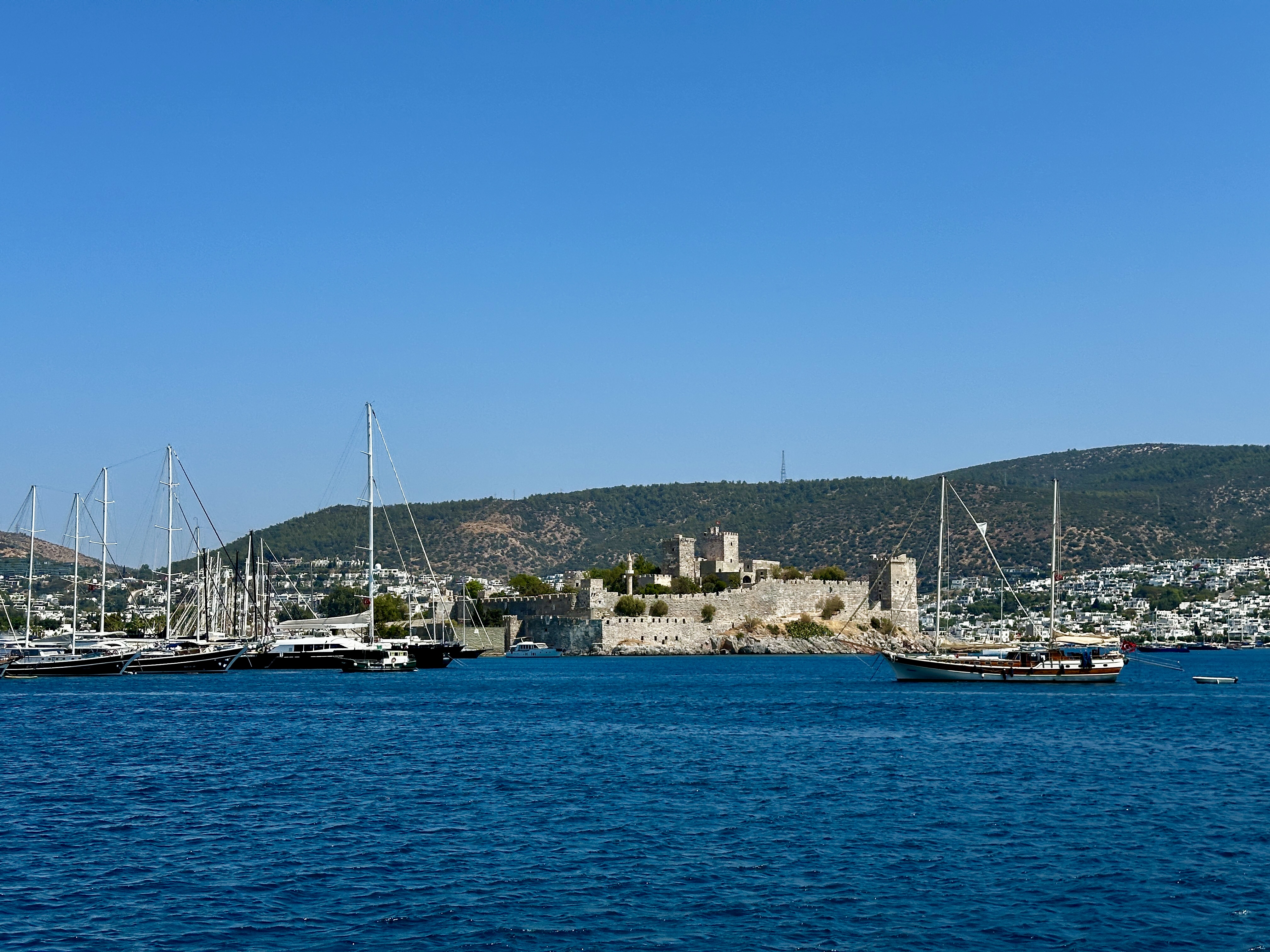 Goletas en el puerto de Bodrum, Turquía