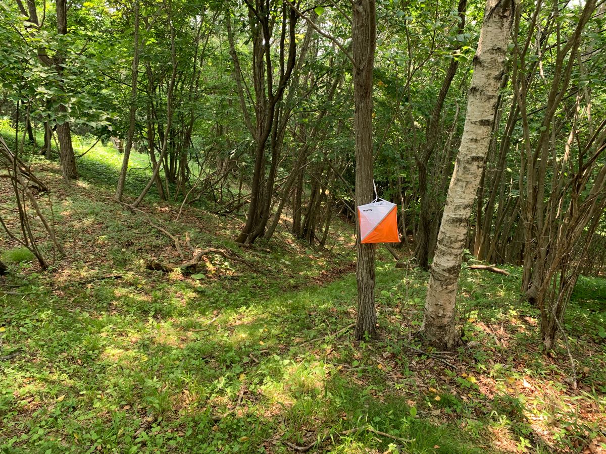 きたひろしまロゲイニング 2025 in 北広島市