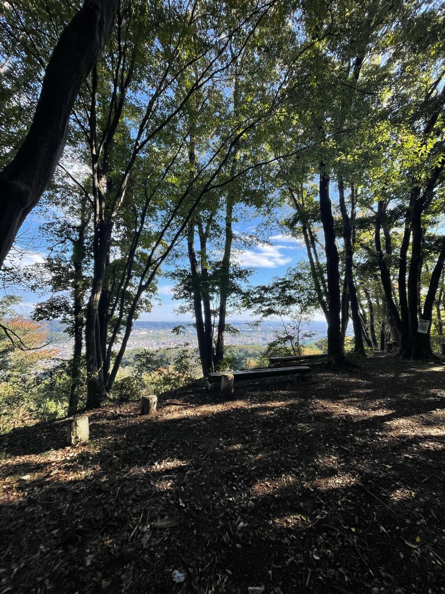 網代弁天山ストレート