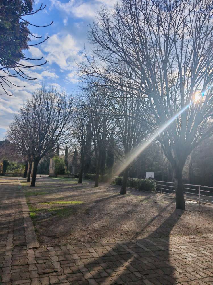 CO N4 MFR LA DENOVES