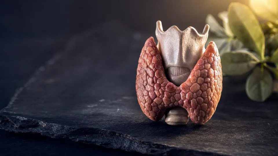 Thyroid