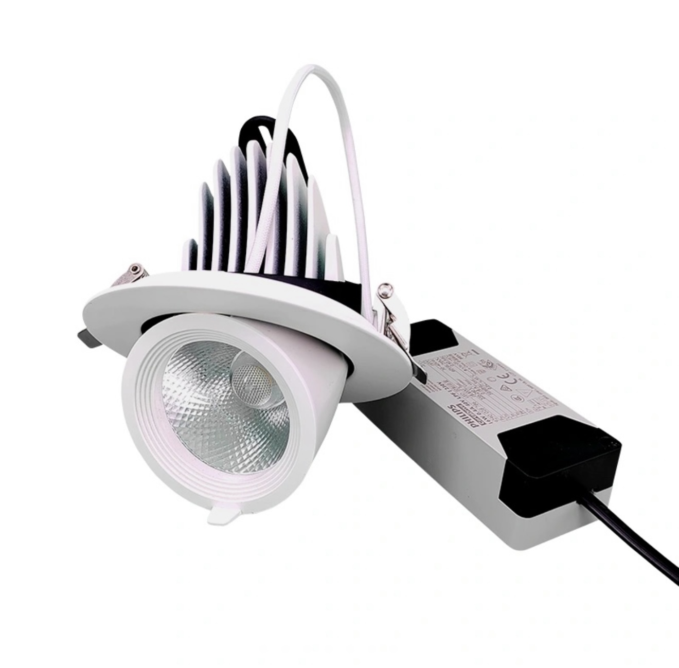 SPOTLIGHT  - Image 1