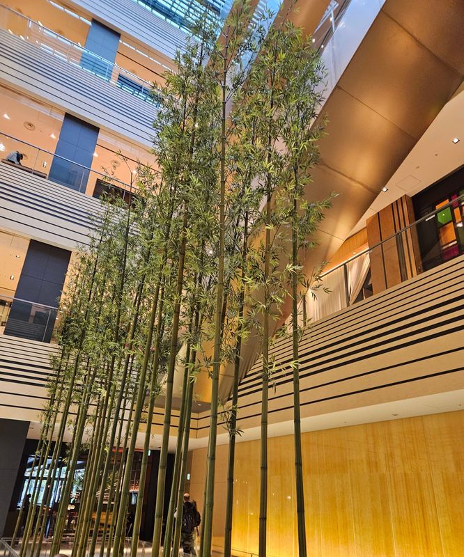 STORY3 六本木編『天才画家の遺した絵画』のナゾ活写真