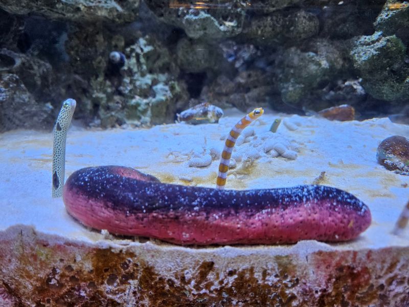 板橋周遊×AR謎解き「チ。ー地球の運動についてー」のナゾ活写真